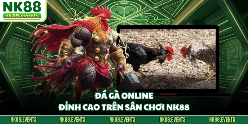 Đá gà online đỉnh cao trên sân chơi NK88